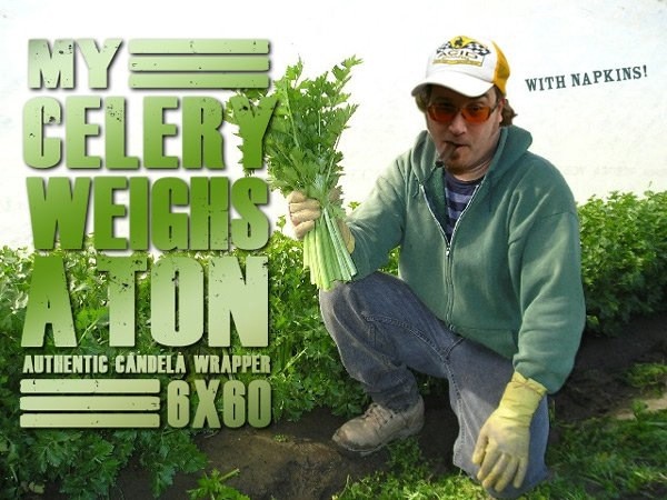 my_cellery_weighs_a_ton.jpg