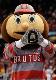Bigbrutus27